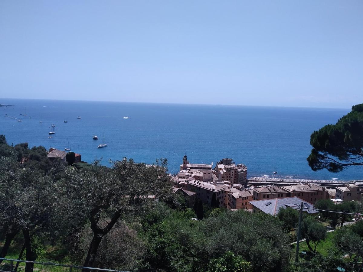 Villa San Prospero Camogli Exterior photo