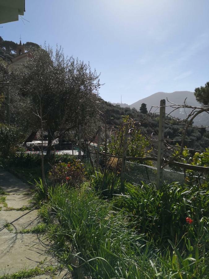 Villa San Prospero Camogli Exterior photo