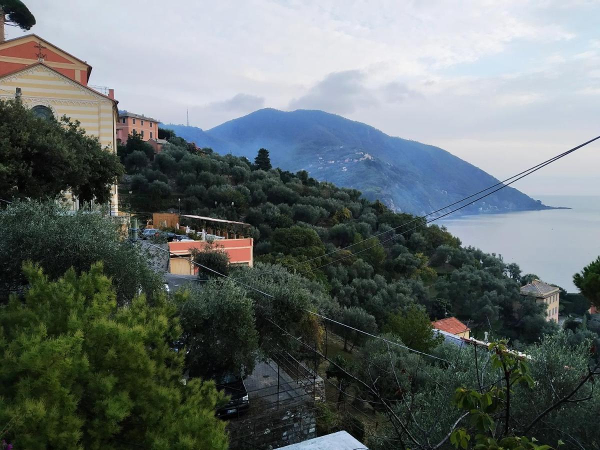 Villa San Prospero Camogli Exterior photo